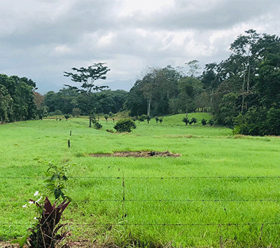 Country Side Lot Close to Volcano Arenal and Thermal Waters READY to build
