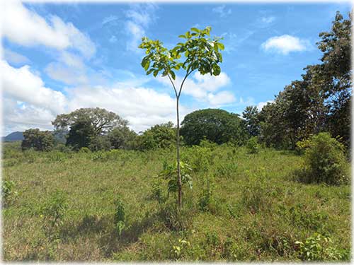 mixed use land for sale, commercial residential property, development land near airport, investment land Costa Rica, mountain view land, commercial land for sale, residential development property, land with utilities, real estate investment