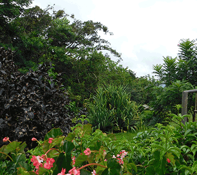 buildable lot in mountains of costa rica