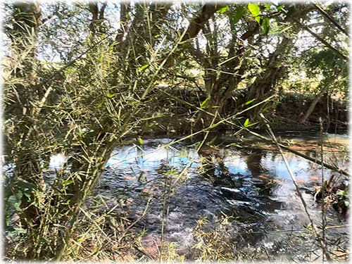 san ramon, eco sustainable properties, cozy house, eco living