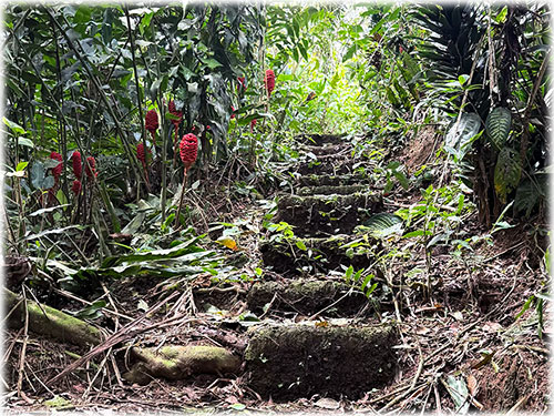 san ramon, eco sustainable properties, cozy house, eco living