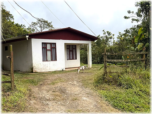 san ramon, eco sustainable properties, cozy house, eco living