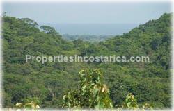 Guanacaste lots, investment opportunity, for sale, location, Pinilla real estate, avellanas, price, financing available, 1611