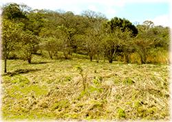 Land for sale, ciudad colon real estate, lots for sale, renowned large farm in San José,Hacienda El Rodeo, Marvelous nature, costa rica real estate, large forest, grear opportunity, investment