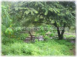 Costa Rica properties for horsekeeping