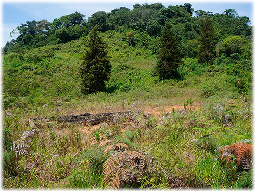 puntarenas, land for sale, development, ecological, sustainable, mountain views, ocean views, panoramic views, oasis, nature