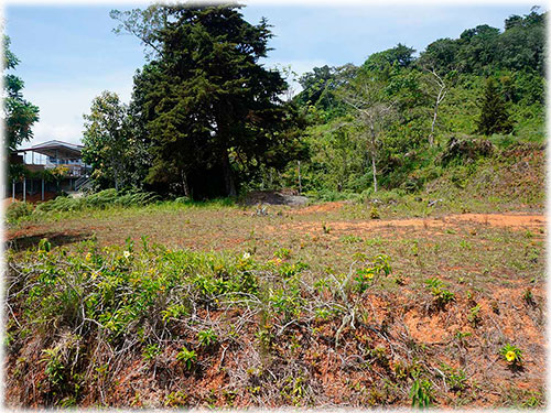 puntarenas, land for sale, development, ecological, sustainable, mountain views, ocean views, panoramic views, oasis, nature