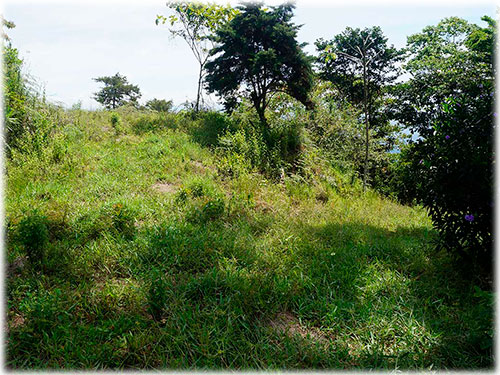 puntarenas, land for sale, development, ecological, sustainable, mountain views, ocean views, panoramic views, oasis, nature