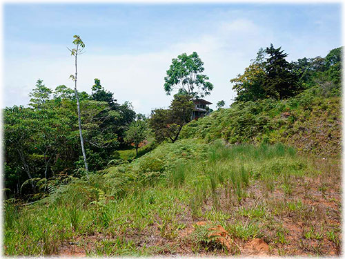 puntarenas, land for sale, development, ecological, sustainable, mountain views, ocean views, panoramic views, oasis, nature