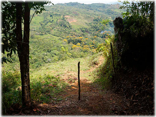 puntarenas, land for sale, development, ecological, sustainable, mountain views, ocean views, panoramic views, oasis, nature