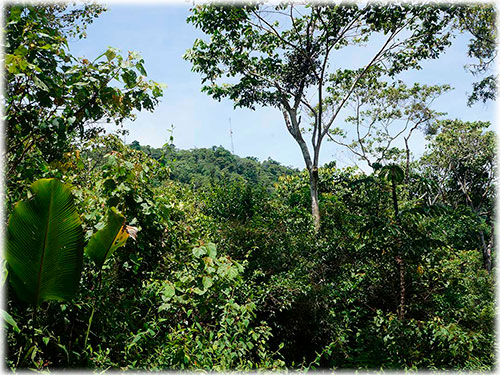 puntarenas, land for sale, development, ecological, sustainable, mountain views, ocean views, panoramic views, oasis, nature