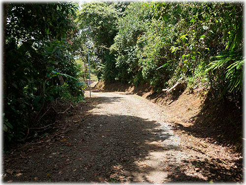 puntarenas, land for sale, development, ecological, sustainable, mountain views, ocean views, panoramic views, oasis, nature