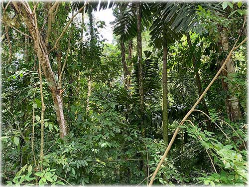 punta uva, caribbean, caribe, limon, ready to build, land for sale, ocean views, mountain properties