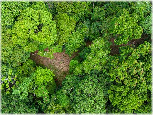 punta uva, caribbean, caribe, limon, ready to build, land for sale, ocean views, mountain properties