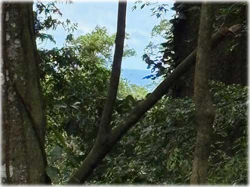punta uva, caribbean, caribe, limon, ready to build, land for sale, ocean views, mountain properties