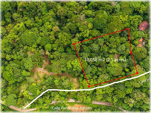 punta uva, caribbean, caribe, limon, ready to build, land for sale, ocean views, mountain properties