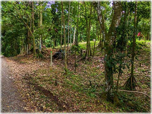 punta uva, caribbean, caribe, limon, ready to build, land for sale, ocean views, mountain properties