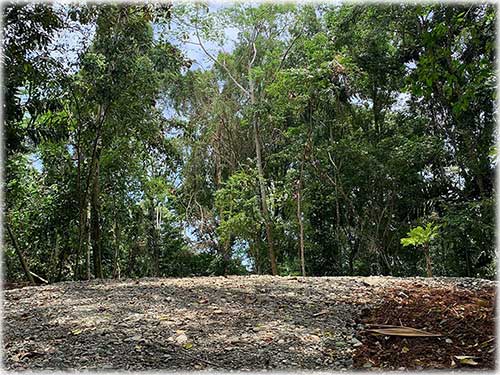 punta uva, caribbean, caribe, limon, ready to build, land for sale, ocean views, mountain properties