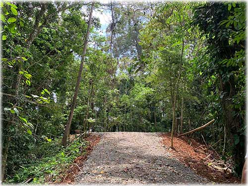 punta uva, caribbean, caribe, limon, ready to build, land for sale, ocean views, mountain properties