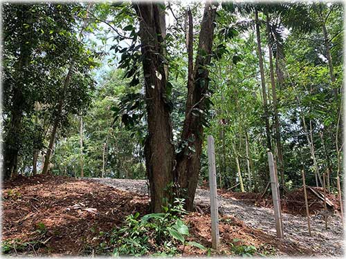 punta uva, caribbean, caribe, limon, ready to build, land for sale, ocean views, mountain properties
