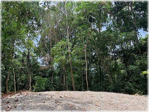 punta uva, caribbean, caribe, limon, ready to build, land for sale, ocean views, mountain properties