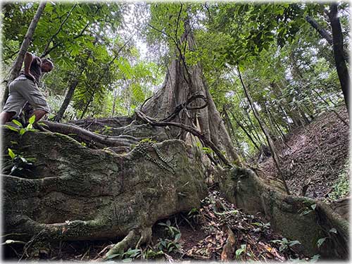 punta uva, caribbean, caribe, limon, ready to build, land for sale, ocean views, mountain properties