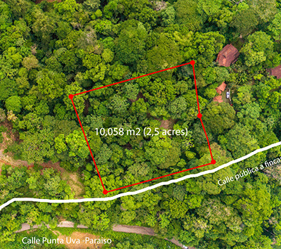 READY TO BUILD: Ocean view Lot in Punta Uva