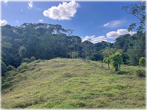 Sarapiquí land for sale, farm for sale Costa Rica, Heredia farmland, Costa Rica agricultural land, eco development property, land with river Costa Rica, pastureland Costa Rica, forest land Costa Rica, Sarapiquí real estate