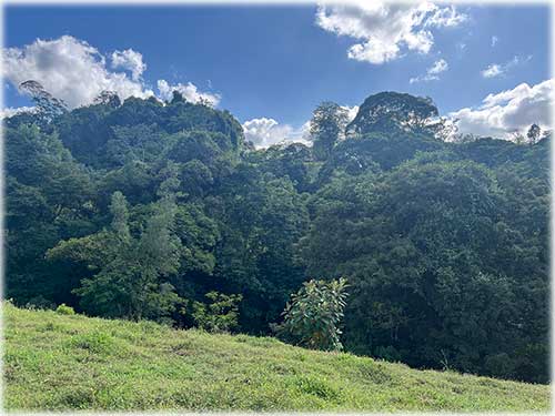 Sarapiquí land for sale, farm for sale Costa Rica, Heredia farmland, Costa Rica agricultural land, eco development property, land with river Costa Rica, pastureland Costa Rica, forest land Costa Rica, Sarapiquí real estate
