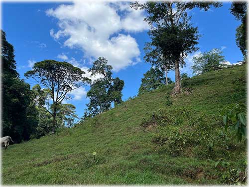 Sarapiquí land for sale, farm for sale Costa Rica, Heredia farmland, Costa Rica agricultural land, eco development property, land with river Costa Rica, pastureland Costa Rica, forest land Costa Rica, Sarapiquí real estate