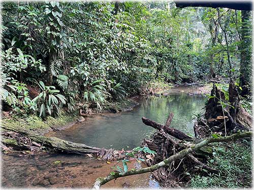 Sarapiquí land for sale, farm for sale Costa Rica, Heredia farmland, Costa Rica agricultural land, eco development property, land with river Costa Rica, pastureland Costa Rica, forest land Costa Rica, Sarapiquí real estate