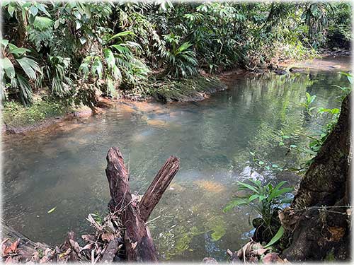 Sarapiquí land for sale, farm for sale Costa Rica, Heredia farmland, Costa Rica agricultural land, eco development property, land with river Costa Rica, pastureland Costa Rica, forest land Costa Rica, Sarapiquí real estate