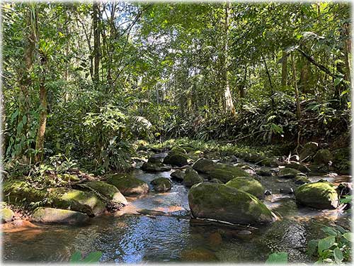 Sarapiquí land for sale, farm for sale Costa Rica, Heredia farmland, Costa Rica agricultural land, eco development property, land with river Costa Rica, pastureland Costa Rica, forest land Costa Rica, Sarapiquí real estate