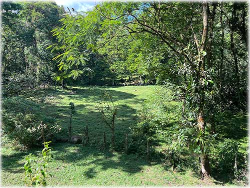 Sarapiquí land for sale, farm for sale Costa Rica, Heredia farmland, Costa Rica agricultural land, eco development property, land with river Costa Rica, pastureland Costa Rica, forest land Costa Rica, Sarapiquí real estate