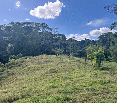 Expansive Farm for Sale in Sarapiquí, Heredia – Pastureland, Rivers & Private Forest
