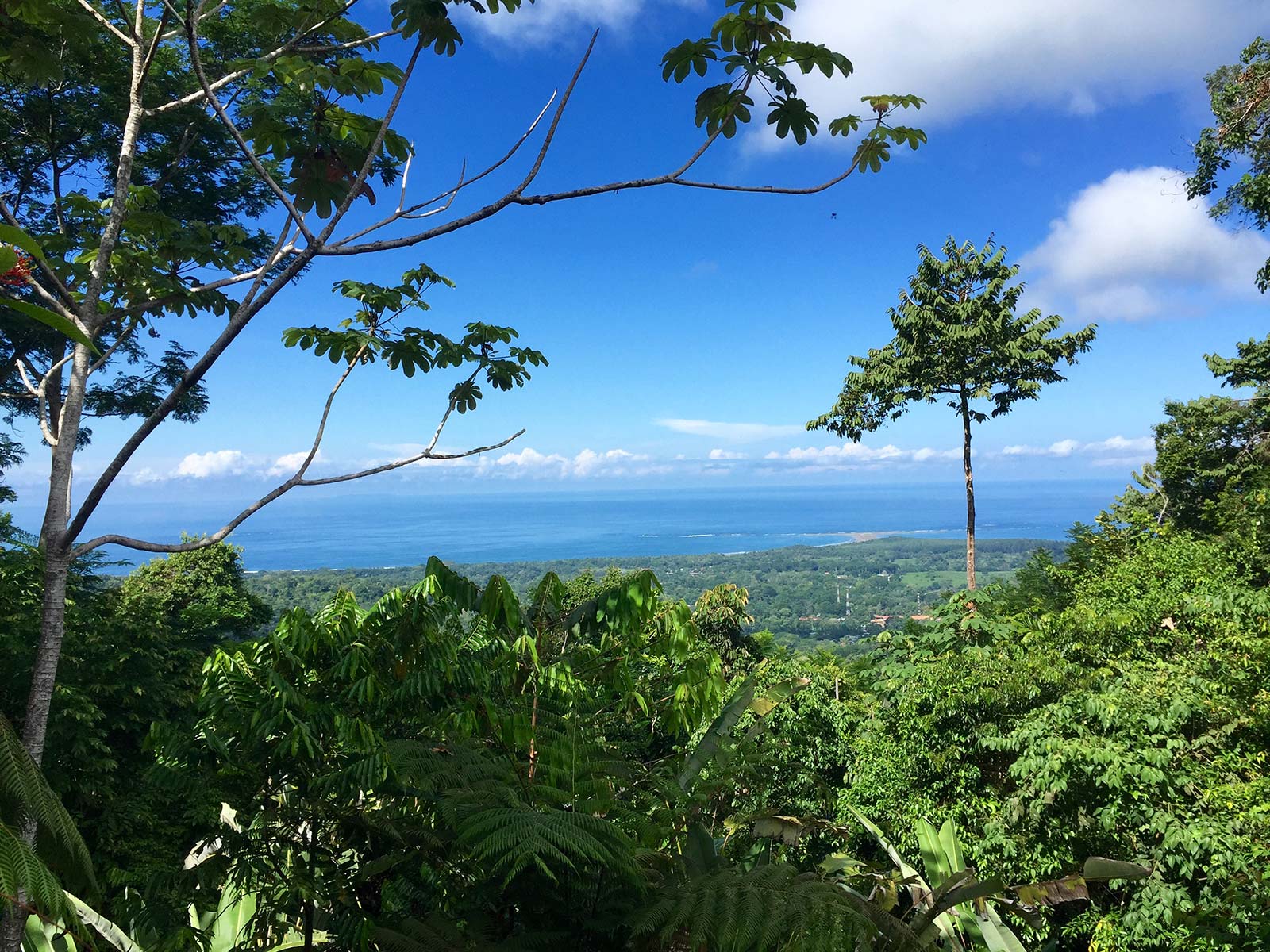 Whale's Tail Views House Located in the Mountains Above Uvita, ID CODE