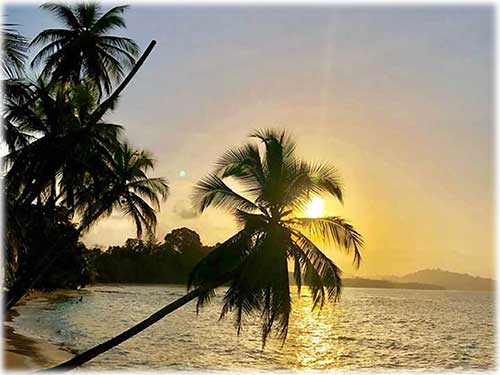 small farm, Punta Uva beach, Puerto Viejo, Paraiso, Panama, Bocas del Toro, countryside, jungle