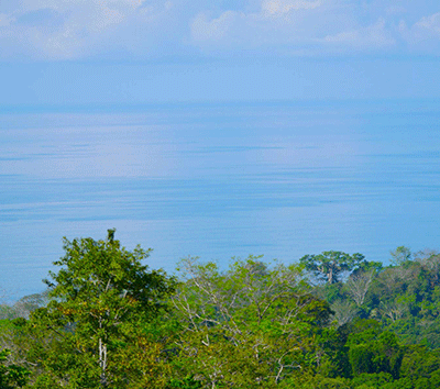 Uvita 17.5 acres with Year Round creek and Ocean Views