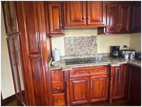 for rent, pool, atenas, vacation home, gateaway home, mountain views, fruit trees, tennis court, mango, citrus, banana