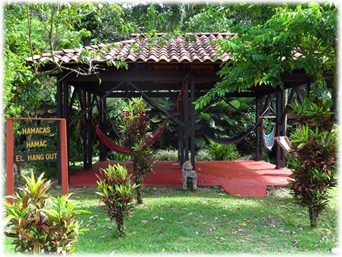forever green, ecolodge, for sale real estate, tourism