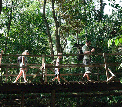 World Famous Ecolodge & Rainforest Tour Company