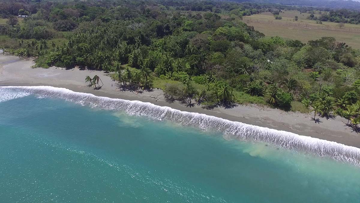 Paradise Found! Fantastic Beachfront Lot in One of Costa Rica's Most Biodiverse Regions