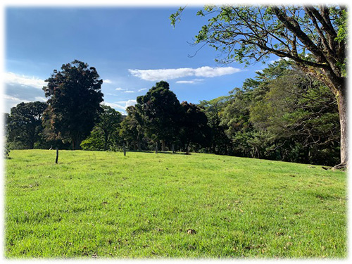 farm, Barva, Heredia, city properties, land for sale, investment, development, sustainable living, trees, paved access
