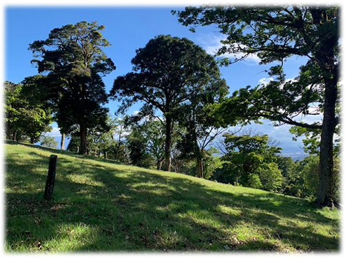 farm, Barva, Heredia, city properties, land for sale, investment, development, sustainable living, trees, paved access