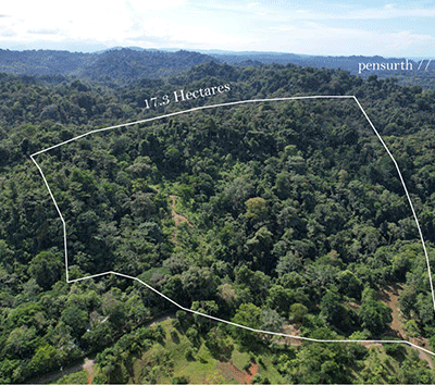 Caribbean Farm Land with Wild Potential 20 minutes from Puerto Viejo