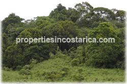 Costa Rica farms for sale, Sarapiqui real estate, rivers,waterfalls, water springs mountain range,cattle farms, land for cattle, cattle raising, cattle breeding, Costa Rica cattle investment, 1272
