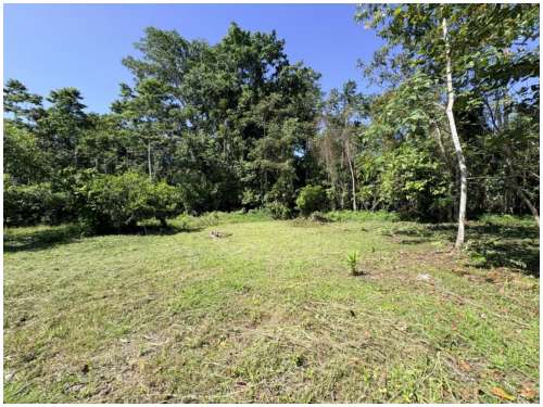 caribe