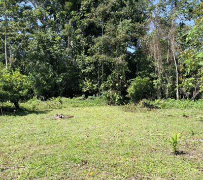 Titled Residential lots with Financing Available and Paved Road Access