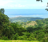 One of Uvita Costa Rica's Finest Oceanview Estate