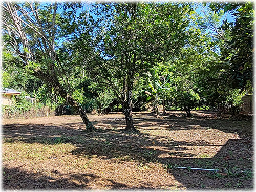 land, lot, Puerto Viejo lots